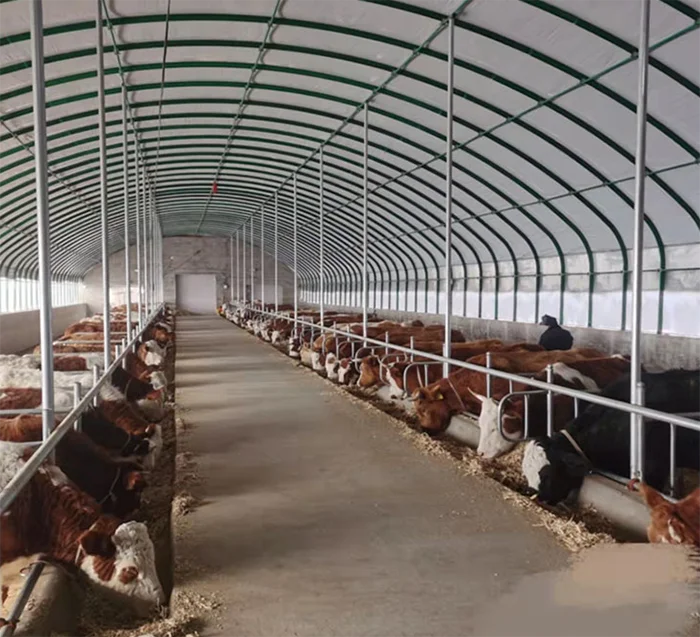 Low Cost Prefab Farm Shed Livestock Tent Cow House Building Cattle Dairy Animal Shelter
