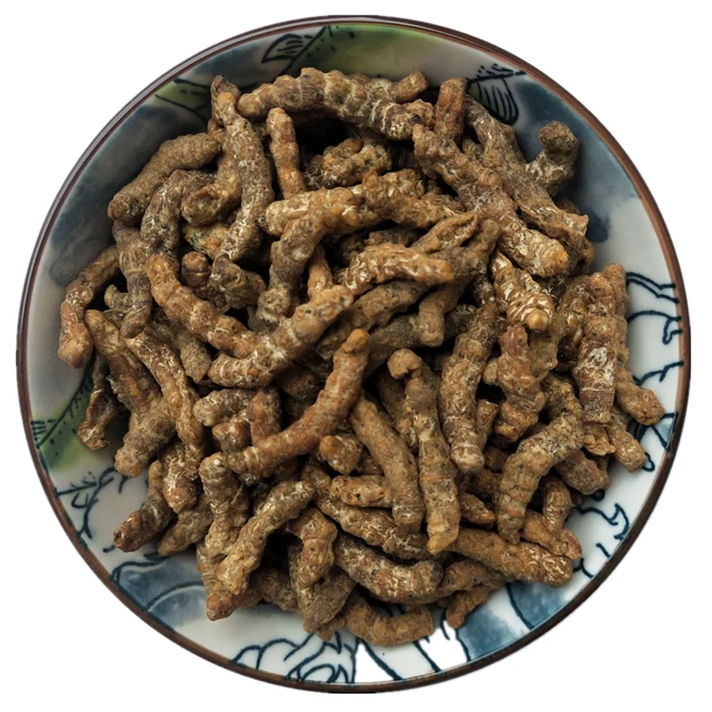 Jiang can Wholesale Chinese Herb 100% Natural Bombyx Batryticatus Dried Stiff Silkworm