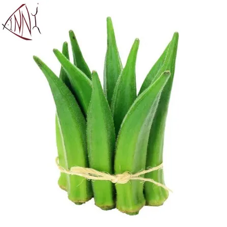 Wholesale Bulk Vegetables Frozen okra