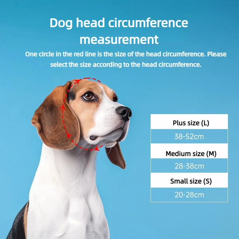 head circumference1