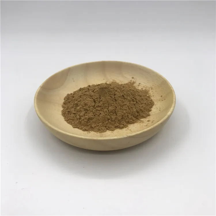 100% Pure Natural Coriolus Versicolor Extract 10% Polysaccharides Trametes Versicolor Extract Powder