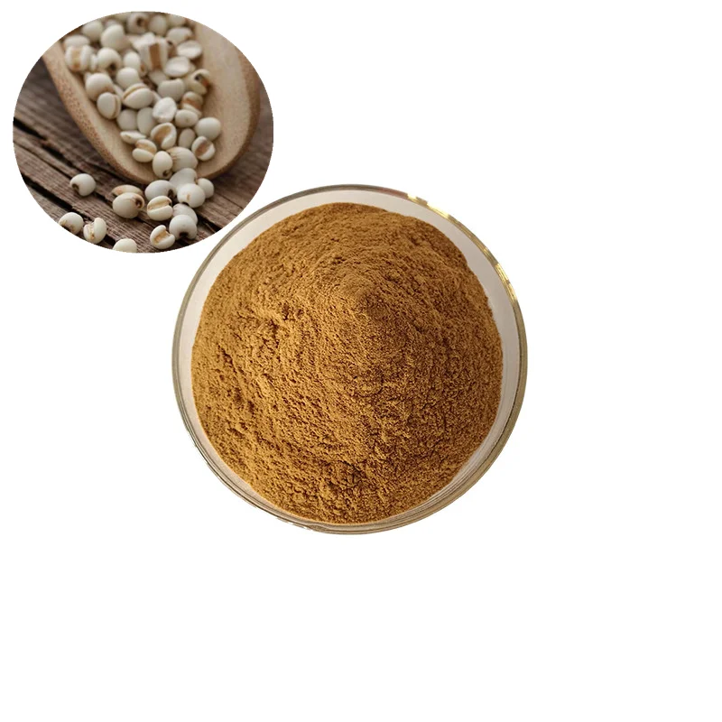 
Semen Coicis Extract Coix Lacryma Jobi Extract 