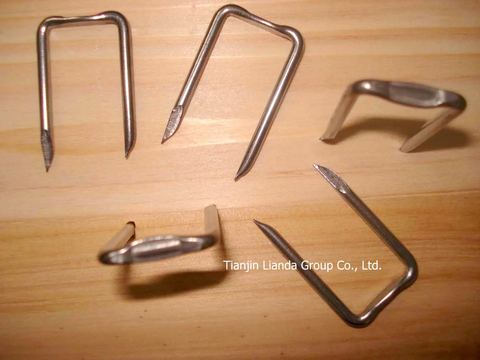 
Polish or E.G or H.D.G U Fence Staple 