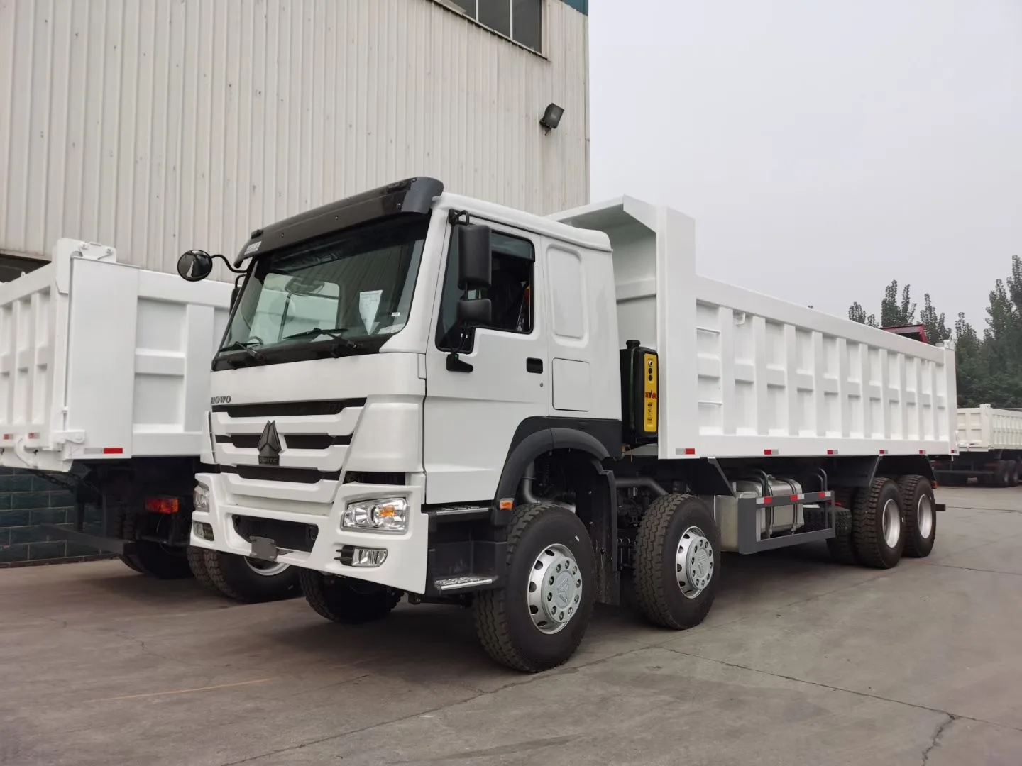 Howo 8X4 Heavy Duty Diesel Dump Truck with Left Steering Manual Transmission Euro 2 Emission Standard Howo Brand