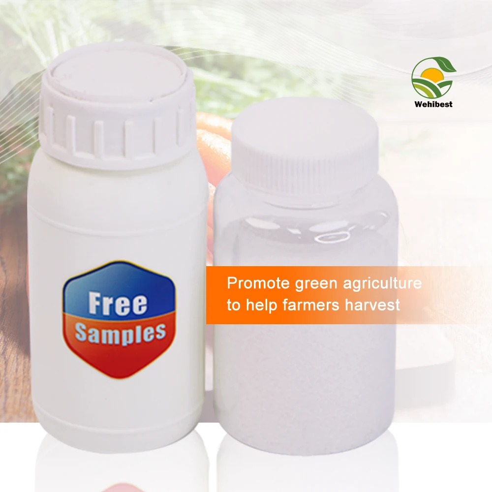 Best Price Ga3 90% Water Soluble Powder White Powder Plant Growth Regulator CAS NO  77-06-5 MF C19H22O6