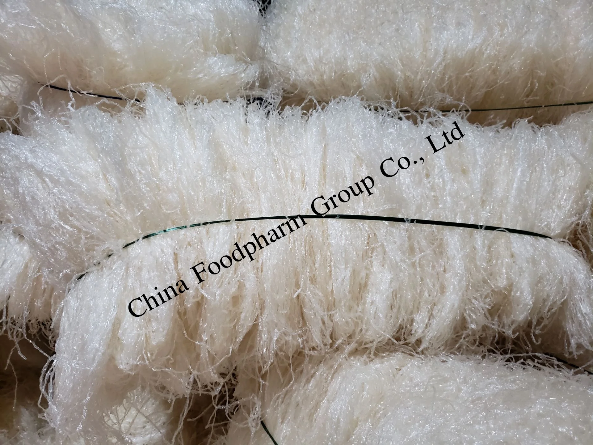
China Factory supply Edible Agar Strips Made From Gracilaria 