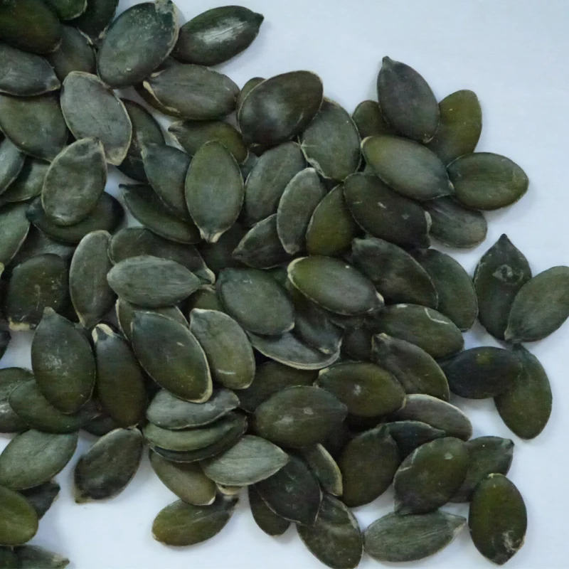 GWS Pumpkin seed kernel Edible Seeds Dark Green Pumpkin Kernels