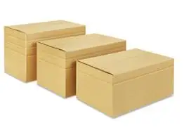 Изготовленные на заказ коробки для переноски бутылок пива вина с разделителем