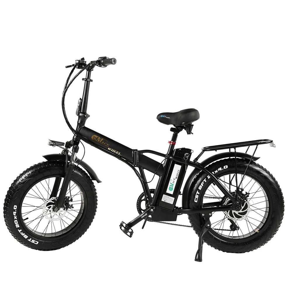 European Stock Light Weight Hot Sales Carrier EU Regulations Outdoor Electric Bicycle