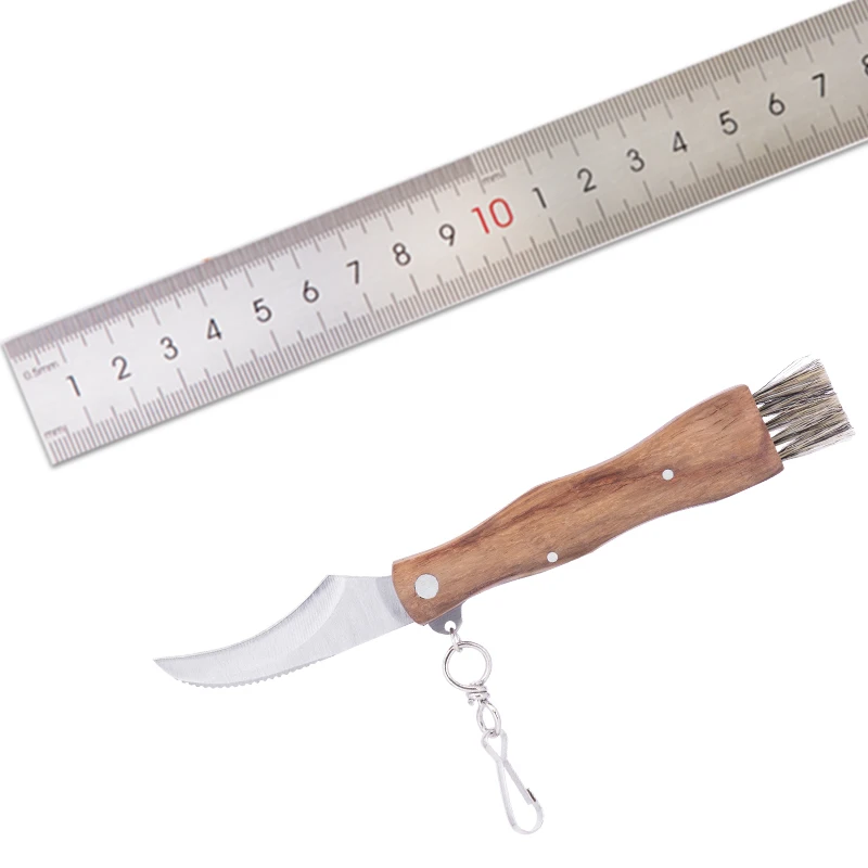 Folding Camping Hunting Truffles Harvest Sharp Knives Wood Handle Pocket knife Pruning Blade Mushroom Knife with Brush