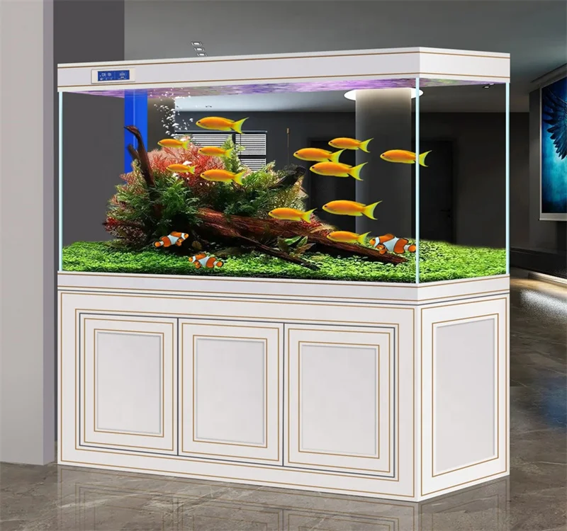 Fish Tank Super White Aquarium Arowana Aquarium Fish Wholesale Aquarium Tank
