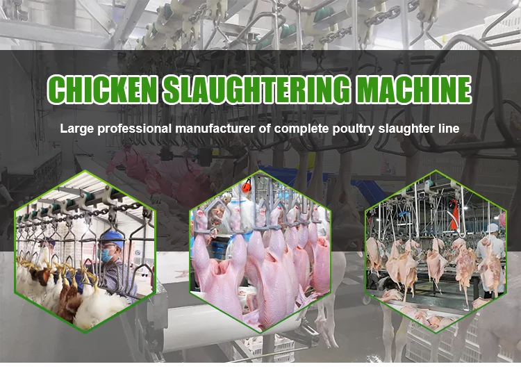 China supplier hot sell reliable complete chicken slaughtering machine