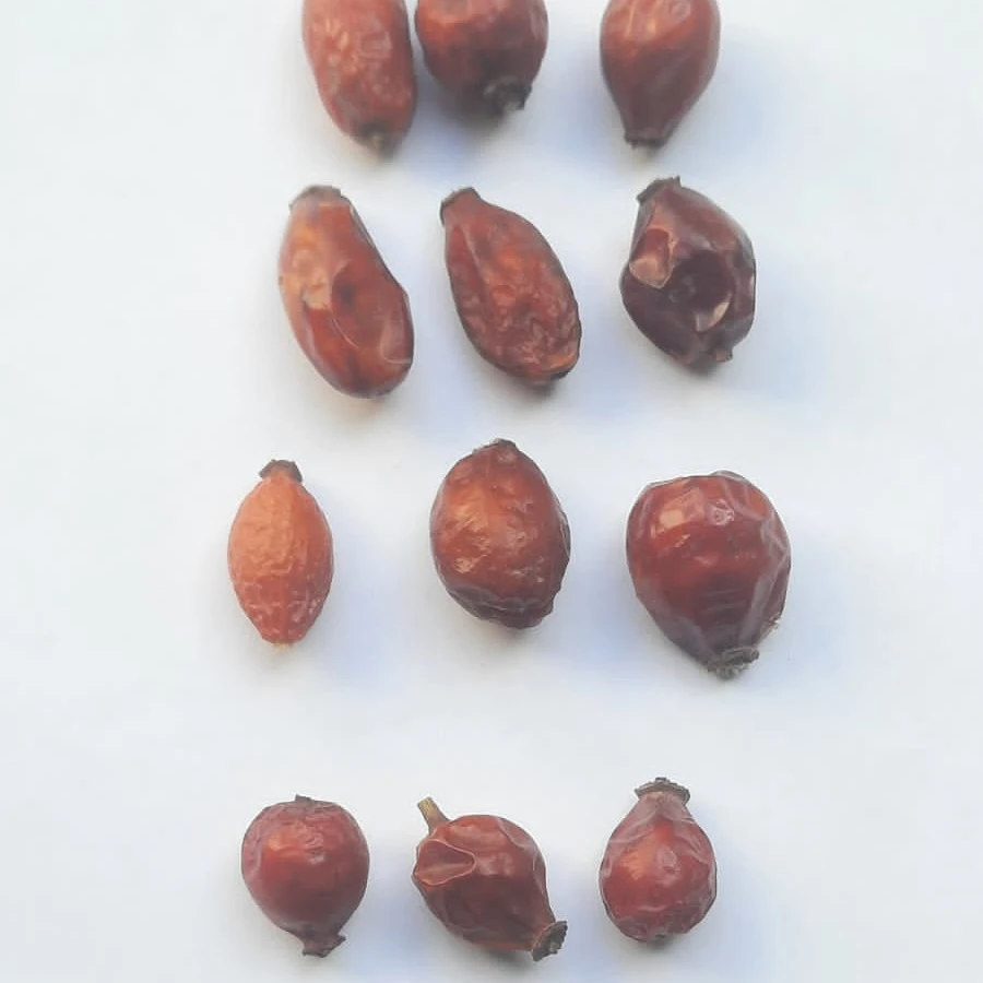 hot sale premium quality sun dried hand picked hand selected safe natural good price Rose hip berries high vitamin c