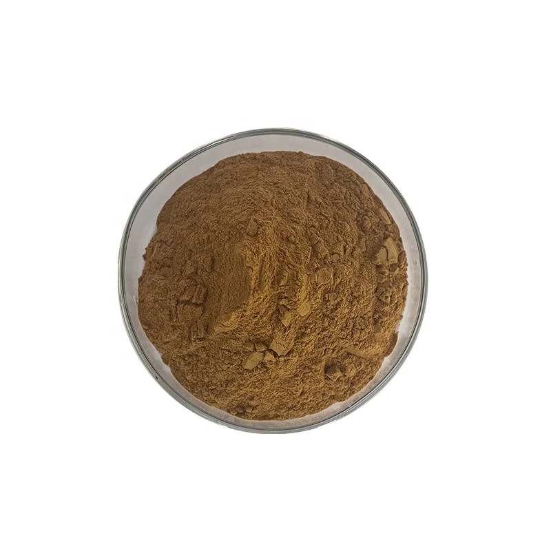 Good Quality organic ginkgo biloba extract and functional beverages ginkgo biloba powder