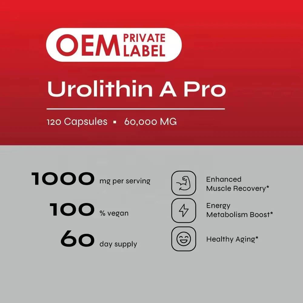 Private label Urolithin A Capsules for Cellular Vitality NAD+ Boost Urolithin A Supplements