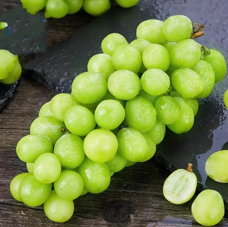 High brix fresh muscat sunshine green yellow grapes with rich nutrients