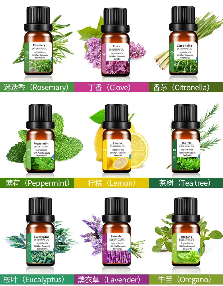 OEM Aromatherapy Essential Oils for Diffuser 6 Packs 10ml DIY Cosmetic Grade Gift Set