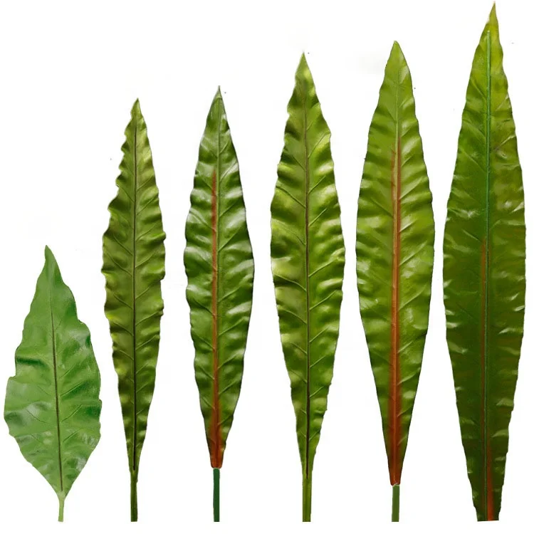 QiHao реальный на ощупь Aglaonema модема монстеллы банановый лист Гавайский искусственный веер Пальма тропическая центелла азиатские
