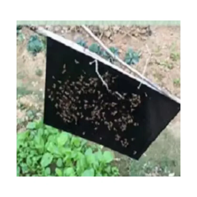 Agricultural Greenhouses Black Sticky Trap Pest Insects Killer Control Outdoor Black Sticky Trap Glue Board Insect Catcher