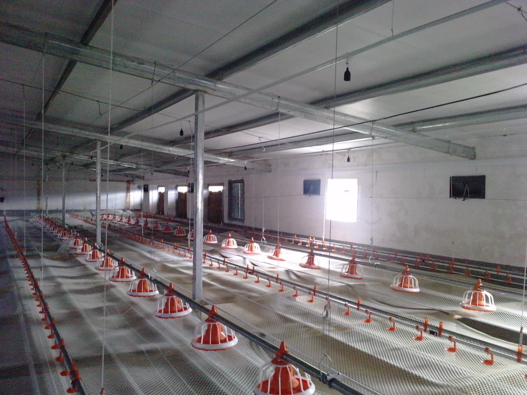 Автоматический открывающийся дом для птицы напольная система подачи корма Курятников