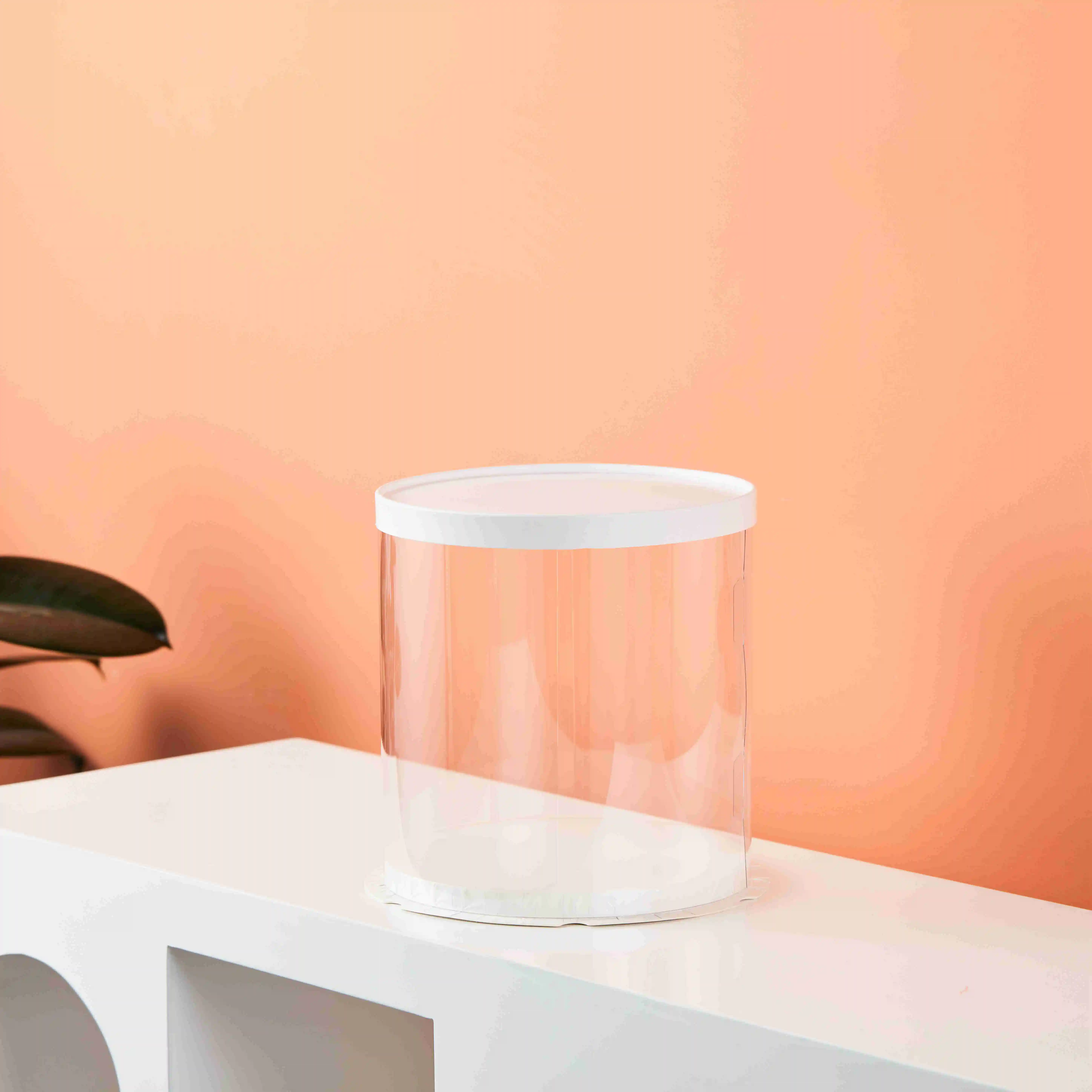 6 8 10 Inches Wholesale Custom Multi-size Transparent Tall Cake Boxes Bakery Clear Round Cake Box Packaging