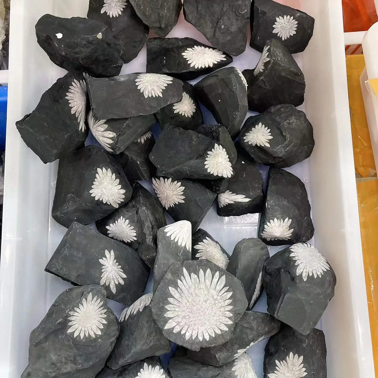 Wholesale Natural Raw stone Crystal Specimen Stone Rough Chrysanthemum Stone For Decoration