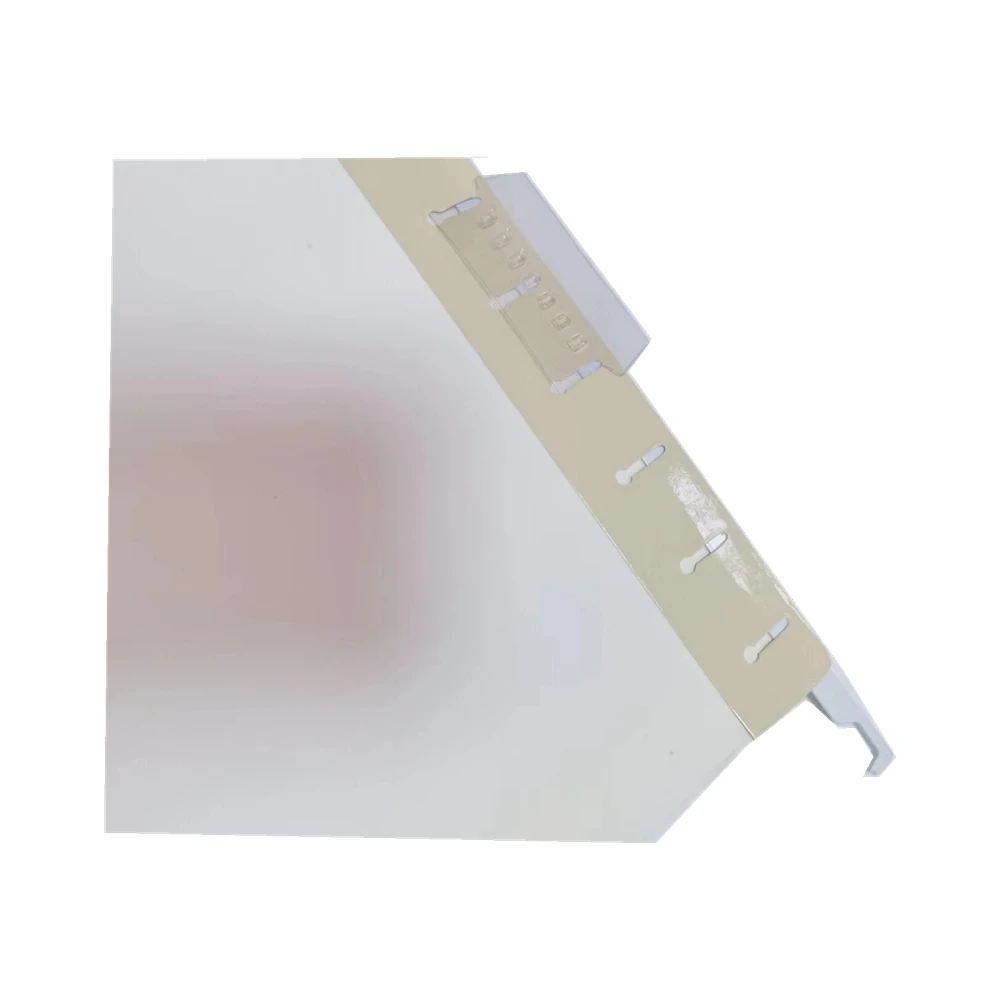 PVC Hanging File With Metal Clip