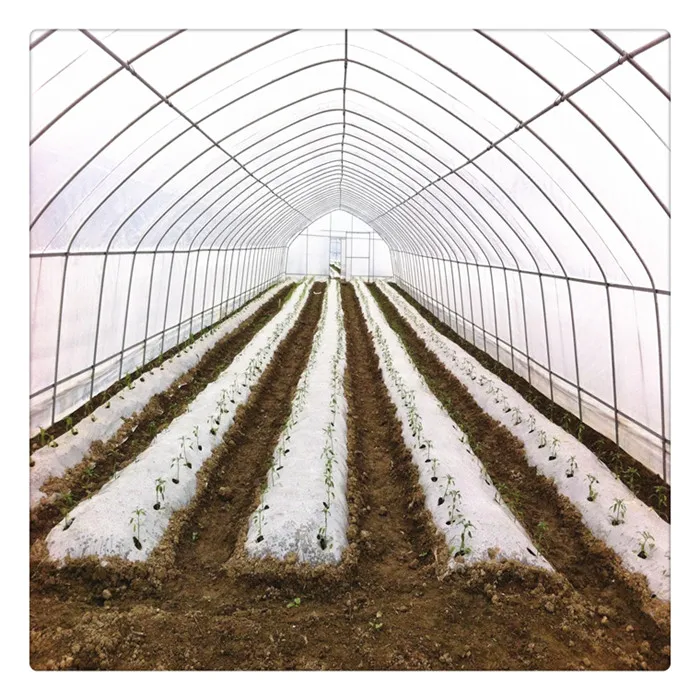  China supplier steel framework tunnel blackout single span green house for