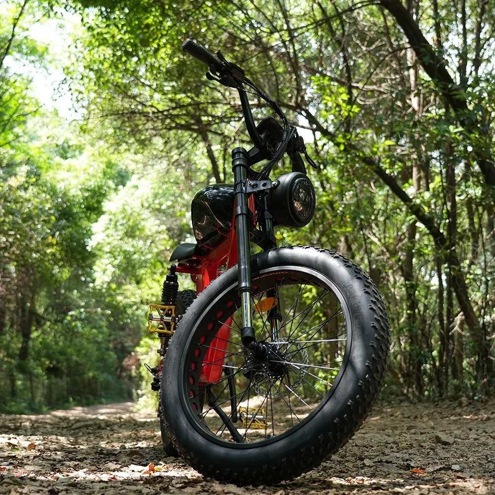 Aluminum Alloy 24inch powerful electric snow bicycle ebike beach cruiser with 7 speed gears derailleur for wholesale