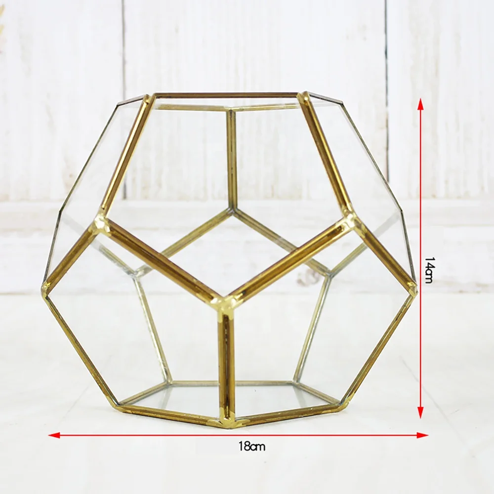 Beautifully designed geometric truncated cube terrarium for Plants grow