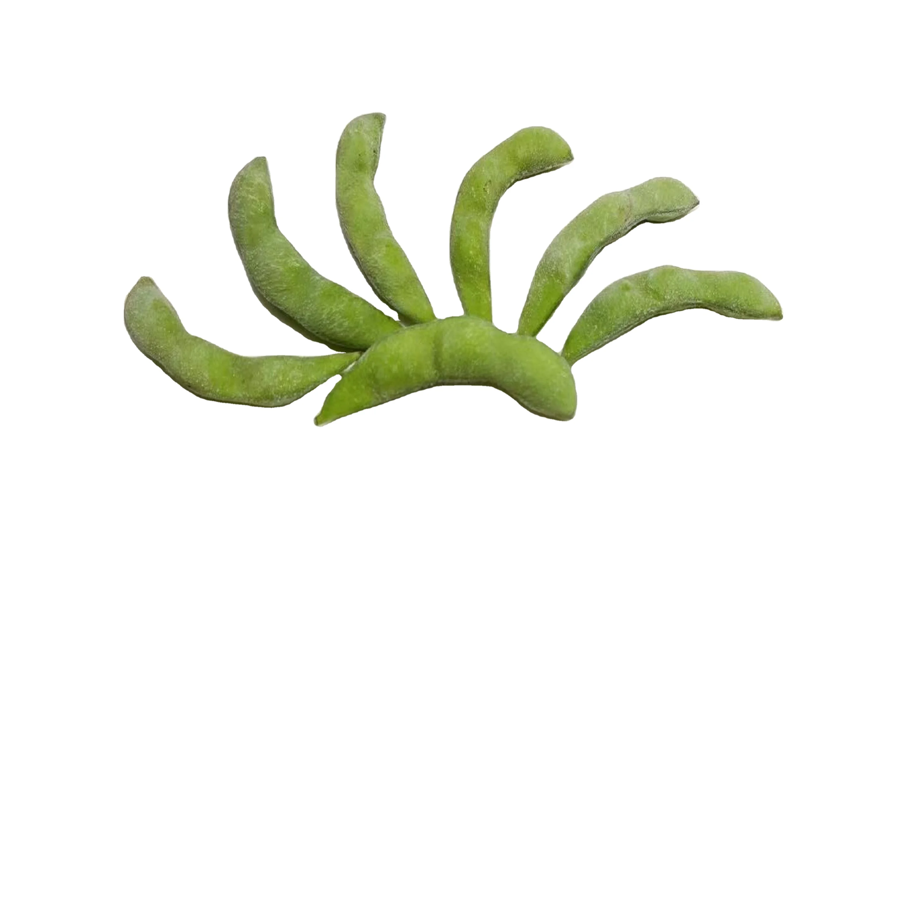 IQF frozen soybean /green peas from china factory