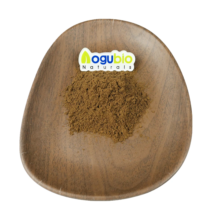 High quality Organic Maitake mushroom extract