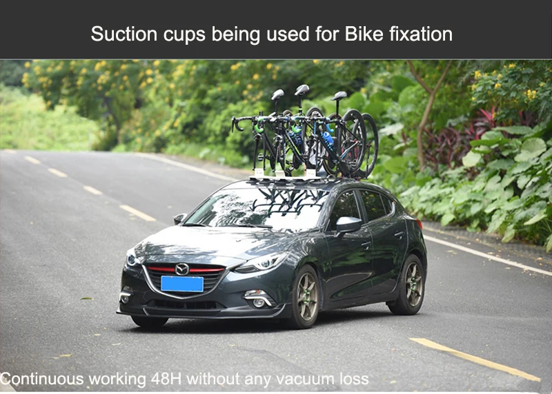 Bike fixation (2)