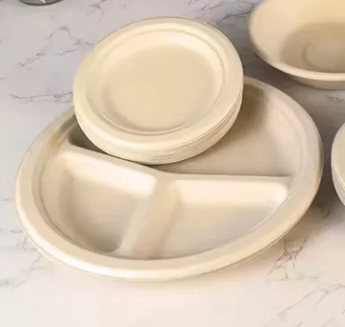 Heavy-Duty Disposable Paper Plates Factory Price Food Container Biodegradable Sugarcane Bagasse Plates