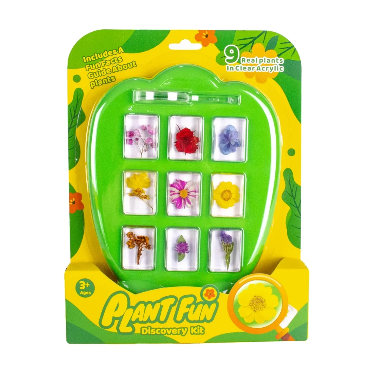 Wholesale Educational Insect Specimen Toys for Kids Early Nature Exploration Toy for Children