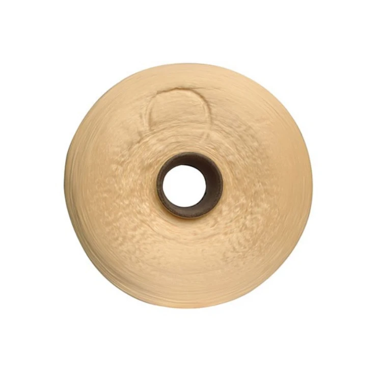 250D 300D 450D Hollow Pp Yarn Multifilament Polypropylene Fdy Yarn for Garment Accessory Webbing