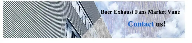 baer_08.jpg