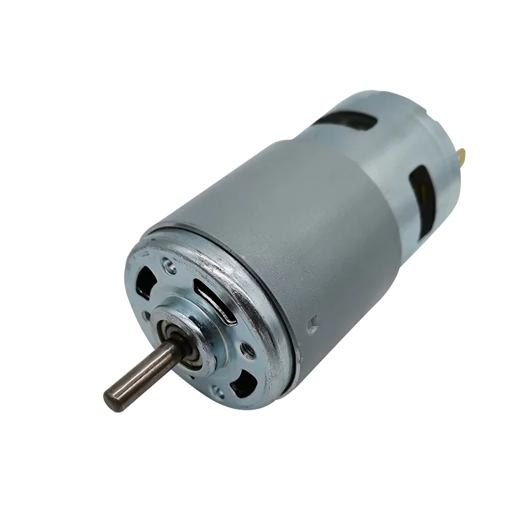 Best Factory Price 795 24v 5-200w Electric Brushed Micro Dc Motor