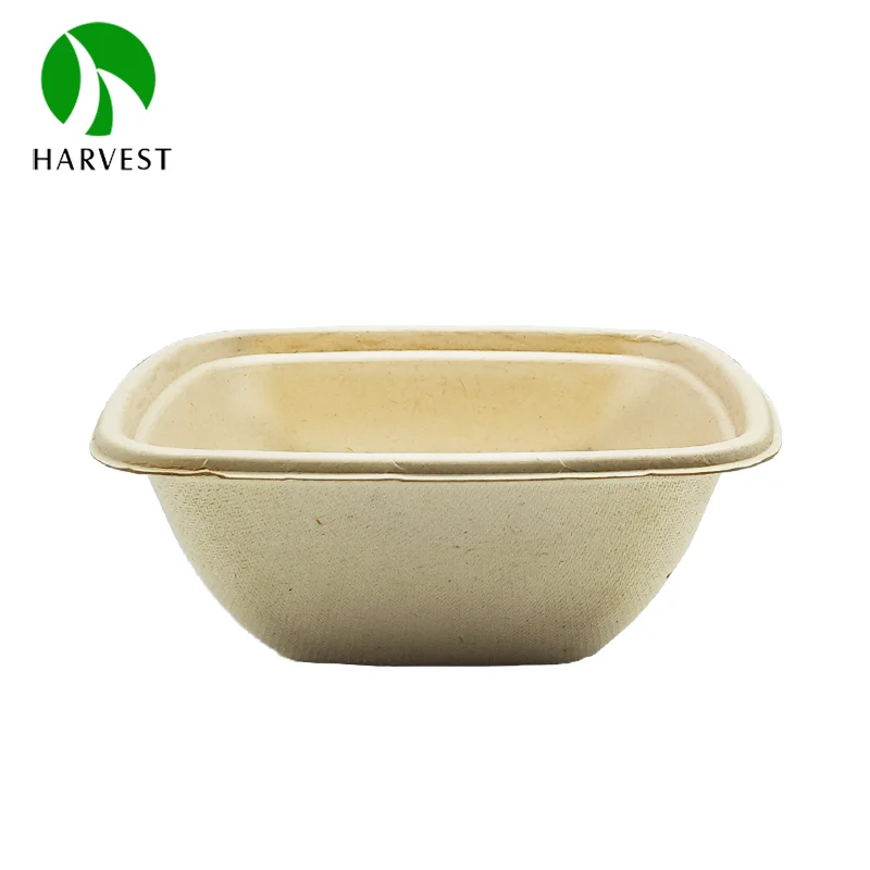 350ml 500ml sugarcane bagasse pulp wholesale take out square food container