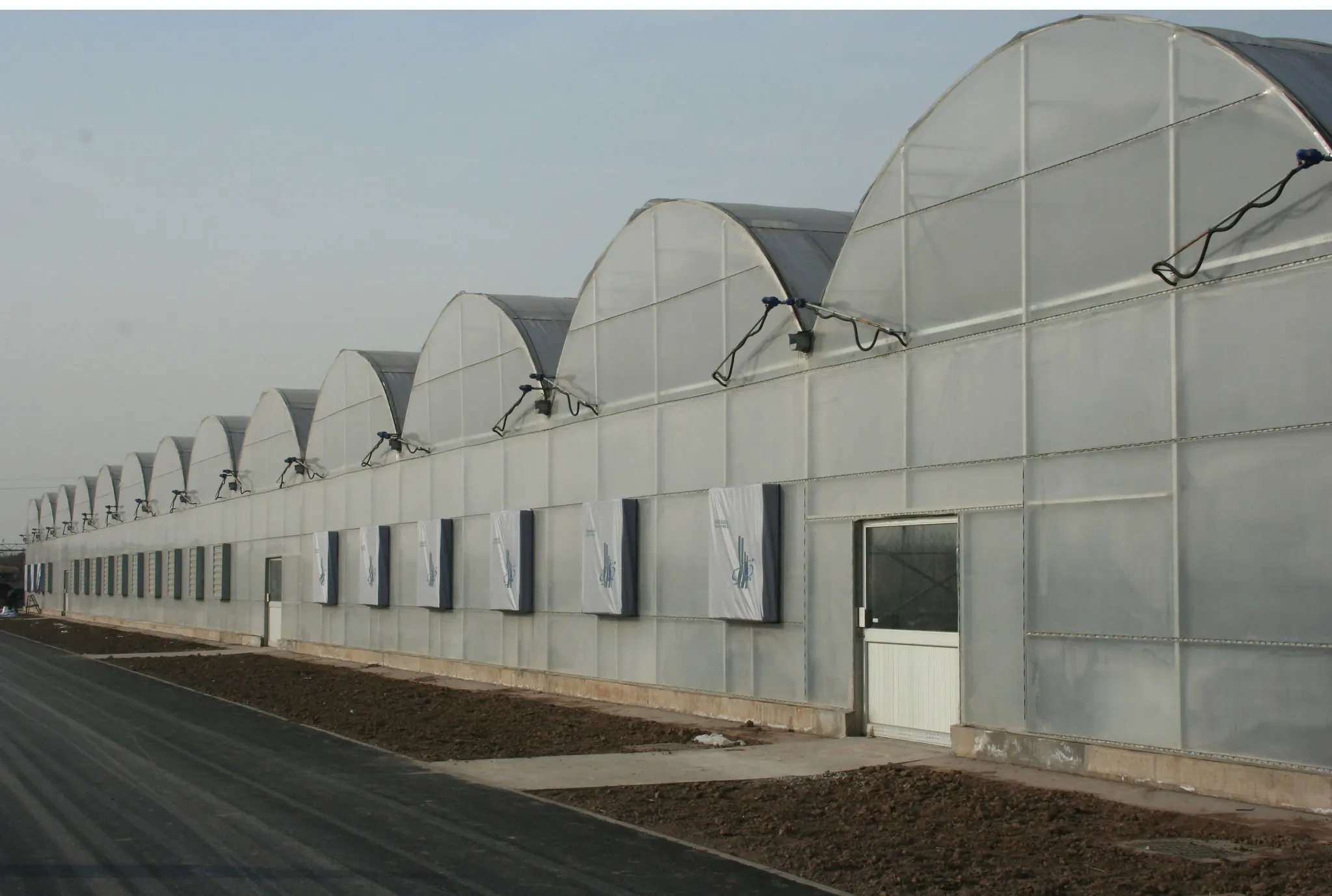 New Style Vegetable Agricultural UV Treated Plastic Film Greenhouse for sale