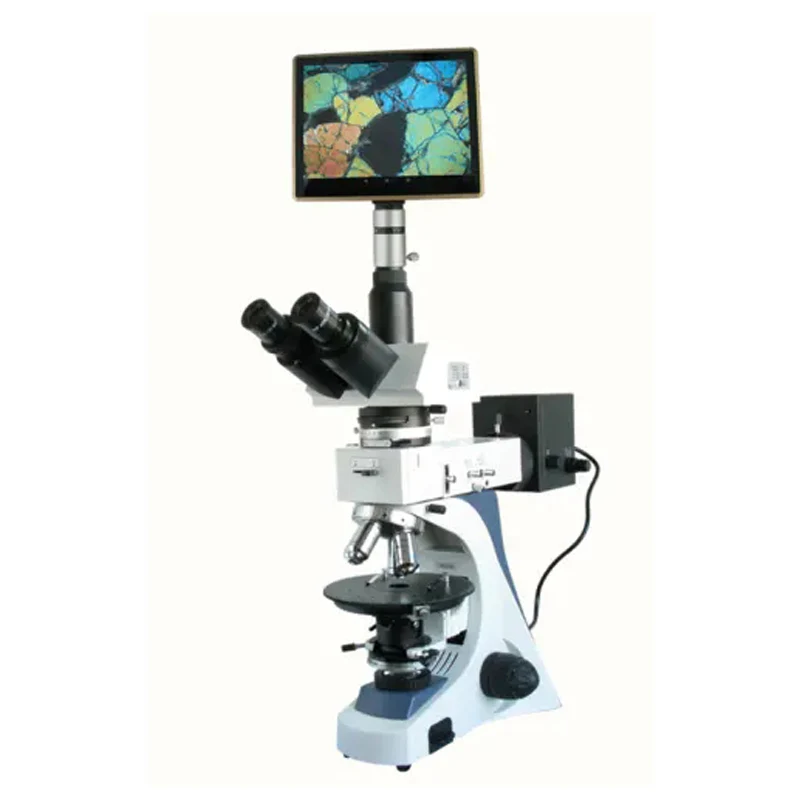 Polarizing microscope BM-60XCP (tablet computer  Transreflection)
