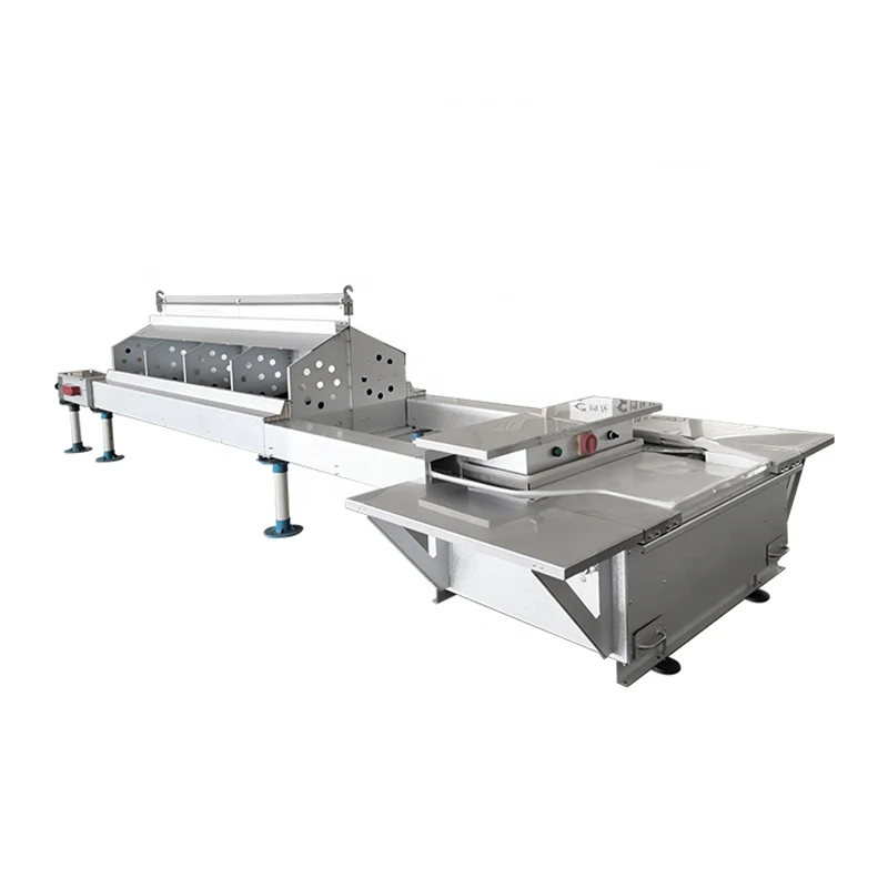 BOLONG Chicken Cage System automatic egg collecting machine automatic chicken raising equipment