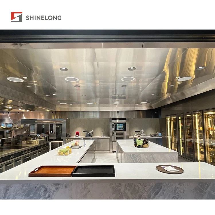 Shinelong Professional Kitchen Commercial Equipment Manufacturer Price of Restaurant Kitchen Equipment