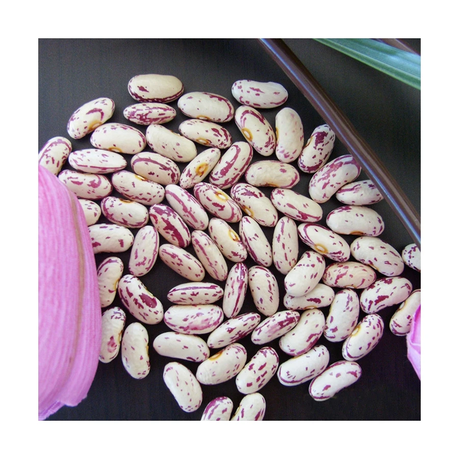 Wholesale Non-gmo Quality Attractive Price Beansdney Speckled Kidney Beans