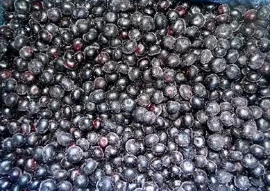 2024 New Crop IQF Frozen Blueberries Frozen Blueberry Whole Frozen Fruits
