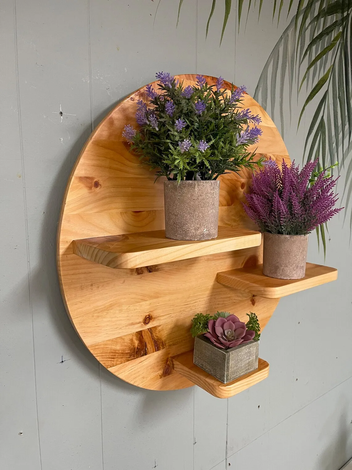 22 Inch Floating Plant Shelf Knotty Pine - Knotty Pine Plant Stand - Shelving for Walls - 5 Inch Shelves