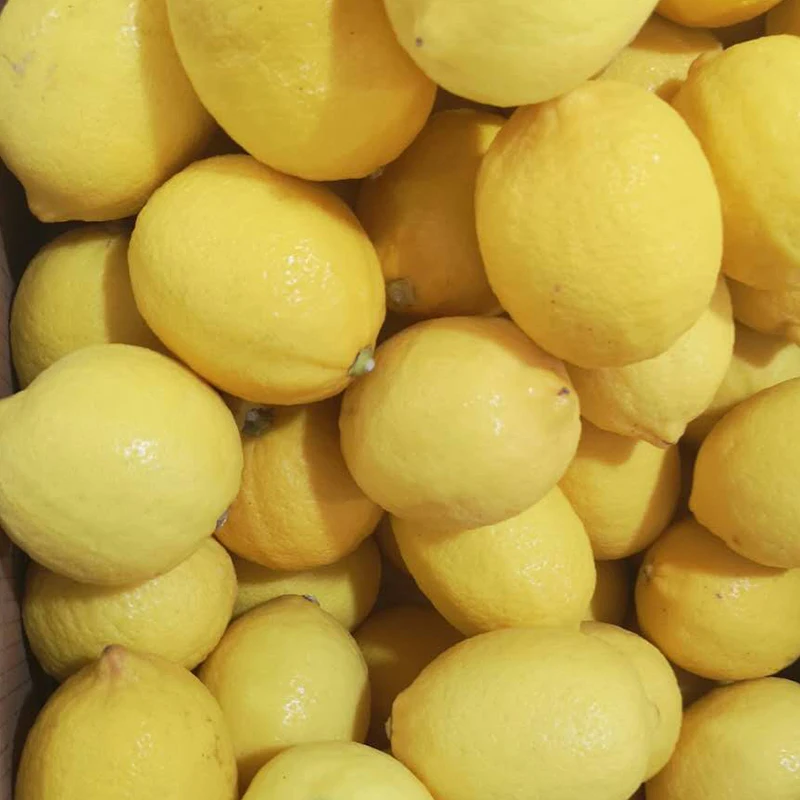 China Wholesale Top Quality Fresh Lemon In Bulk