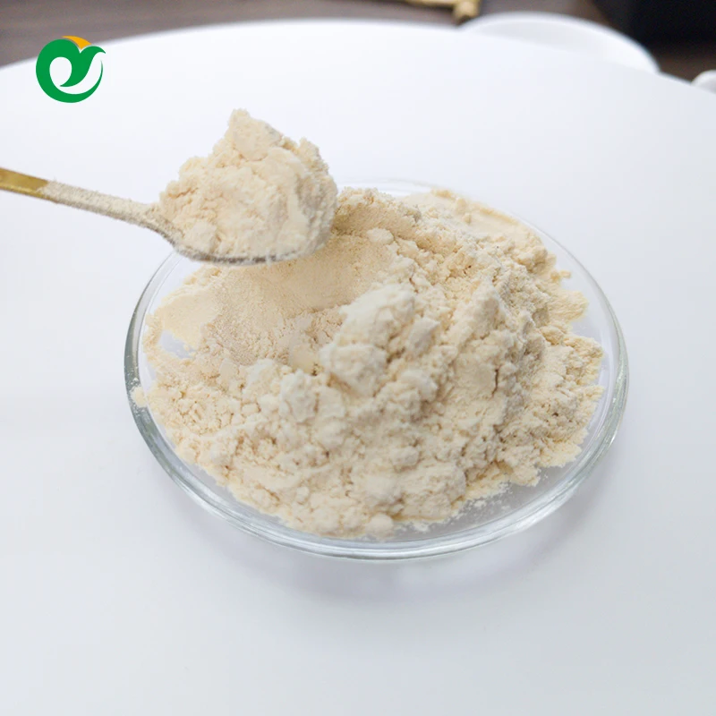 GMP  high quality low price isolate whey protein powder supplement for sports men  creatine for building muscle