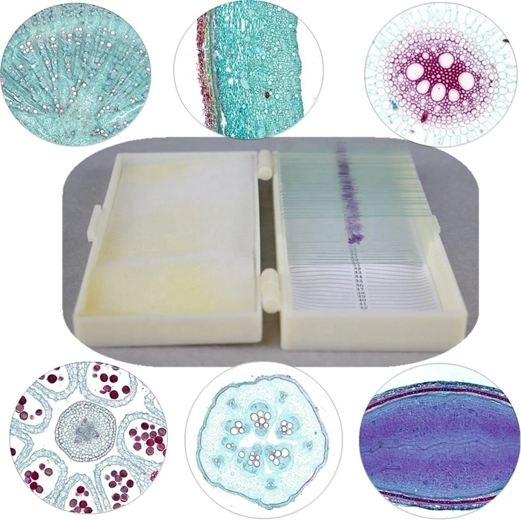Factory Educational equipment Medical science Provide science lab researching prepared slides for kids microscope