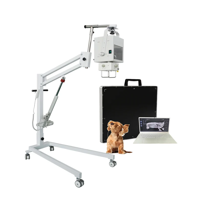 xray machine portable factory price xray machine digital medical x ray machines price dr x ray system